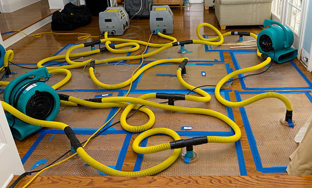 Professional Crawl Space Water Removal technician working in Hamburg, PA